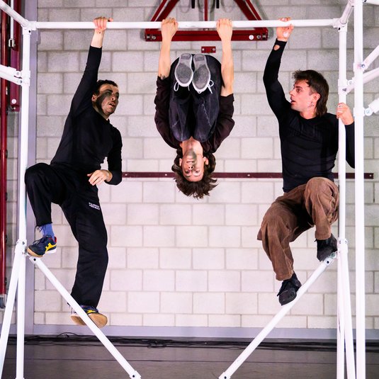 Drie jongens in klimrek